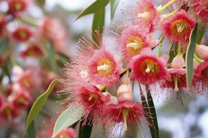 ai generato bellissimo gomma albero rosa fiori e mini cuffie. ai generato foto