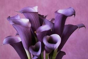 ai generato mazzo di viola calla gigli contro viola sfondo.ai generato foto