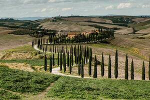 famoso Toscana paesaggio con curvo strada e cipresso, Italia, Europa. rurale azienda agricola, cipresso alberi, verde campo, luce del sole e nube. foto