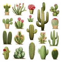 ai generato il cactus impostato su bianca sfondo. clipart illustrazioni. ai generato foto