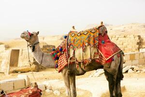 famoso egiziano piramidi di giza. paesaggio nel Egitto. piramide nel deserto. Africa. Meraviglia di il mondo foto