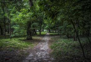 un sentiero all'ombra del parco di sumice a belgrado foto