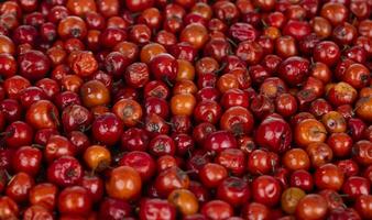 indiano frutta rosso bacca anche conoscere come bor, bora o foro foto