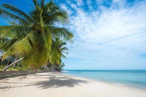 bellissima spiaggia tropicale con palme