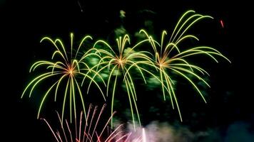 fuochi d'artificio sul fiume nel cielo scuro foto