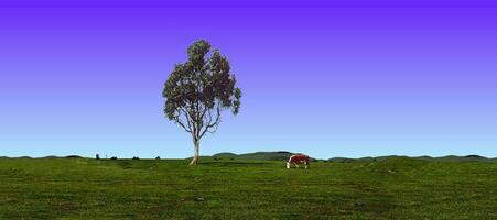 mucca e albero foto