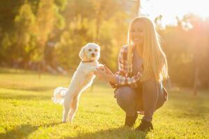 bellissimo donna la spesa tempo con sua maltese cane all'aperto. foto