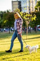 bellissimo donna a piedi con sua maltese cane nel il parco. foto