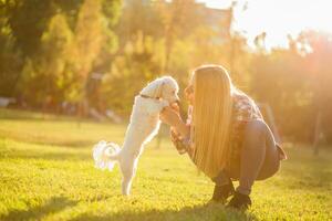 bellissimo donna la spesa tempo con sua maltese cane all'aperto. foto