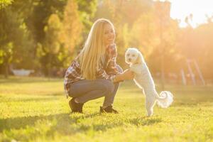 bellissimo donna la spesa tempo con sua maltese cane all'aperto. foto