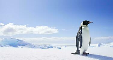 ai generato pinguino in piedi nel Antartide guardare in il blu cielo. ai generato foto