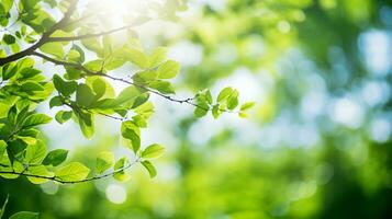 ai generato verde le foglie su un' albero ramo con luce del sole foto