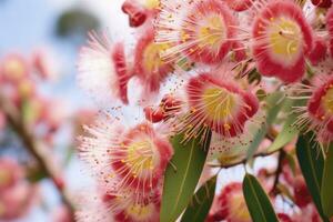 ai generato bellissimo gomma albero rosa fiori e mini cuffie. ai generato foto