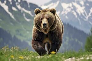 ai generato Marrone orso in movimento su il verde prato nel primavera natura. ai generato foto