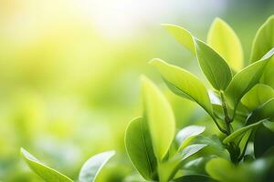 ai generato natura di verde foglia nel un' giardino nel estate sotto luce del sole. primavera sfondo. ai generato foto