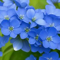 ai generato fiori su il giardino sfondo foto