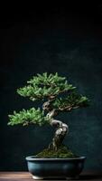 ai generato un' Bonsai albero nel un' nero ceramica pentola contro un' nero verticale sfondo. foto