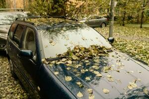 auto parcheggiata nel cortile coperto con autunno le foglie - bellissimo autunno scena foto