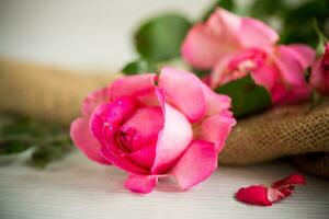 rosa bellissimo estate Rose su di legno tavolo foto