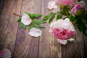 bellissimo fioritura peonie con petali su un' di legno tavolo foto