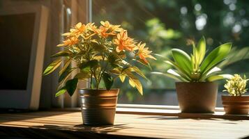 ai generato fiore pentola su un' ufficio scrivania, succulento cactus vaso, generativo ai foto