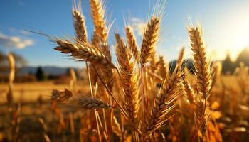 ai generato agricoltura d'oro crescita, maturo Grano nel natura rurale paesaggio generato di ai foto