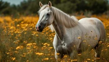 ai generato un' bellissimo cavallo sfiora nel il prato, godendo il all'aperto generato di ai foto