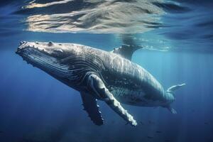 ai generato giovane gobba balena nel blu acqua. ai generato foto