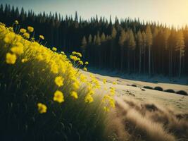 ai generato raggiante i campi di inverno morbido messa a fuoco tramonto prato con giallo fiori della natura abbraccio. un' sinfonia di colori caldo inverno tramonto prato con astratto morbido messa a fuoco natura armonia. foto