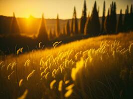 ai generato raggiante i campi di inverno morbido messa a fuoco tramonto prato con giallo fiori della natura abbraccio. un' sinfonia di colori caldo inverno tramonto prato con astratto morbido messa a fuoco natura armonia. foto