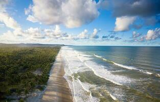 aereo Visualizza abbandonato spiaggia con Noce di cocco alberi su il costa di bahia brasile foto
