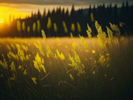 ai generato astratto morbido messa a fuoco tramonto campo paesaggio di giallo fiori e erba prato caldo d'oro ora tramonto Alba volta. tranquillo primavera estate natura avvicinamento e sfocato foresta sfondo. foto