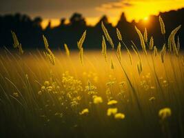 ai generato astratto morbido messa a fuoco tramonto campo paesaggio di giallo fiori e erba prato caldo d'oro ora tramonto Alba volta. tranquillo primavera estate natura avvicinamento e sfocato foresta sfondo. foto