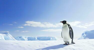 ai generato pinguino in piedi nel Antartide guardare in il blu cielo. ai generato foto