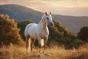 ai generato bianca cavallo o cavalla nel il montagne a tramonto. ai generato foto