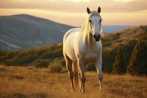 ai generato bianca cavallo o cavalla nel il montagne a tramonto. ai generato foto