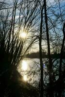 il sole è ambientazione dietro a alcuni alberi vicino un' fiume foto