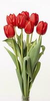 ai generato rosso tulipani isolato su bianca sfondo. ai generato foto