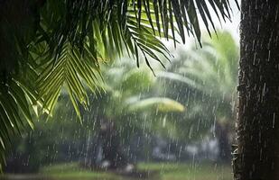 ai generato pioggia nel il tropici durante il Basso stagione o monsone stagione. gocce di pioggia nel un' giardino. generativo ai foto