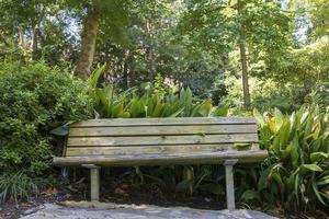 panca di legno vuota nel mezzo di un parco foto