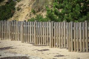 file di una staccionata in legno su una spiaggia sabbiosa foto