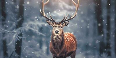 ai generato nobile cervo maschio nel il inverno neve foresta. artistico inverno Natale paesaggio. ai generato foto