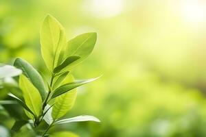 ai generato natura di verde foglia nel un' giardino nel estate sotto luce del sole. primavera sfondo. ai generato foto