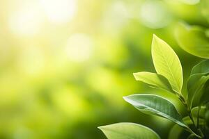 ai generato natura di verde foglia nel un' giardino nel estate sotto luce del sole. primavera sfondo. ai generato foto