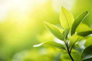 ai generato natura di verde foglia nel un' giardino nel estate sotto luce del sole. primavera sfondo. ai generato foto