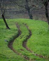 tracce nel il agricolo campo foto