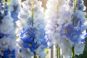 ai generato all'aperto fiore sfondo foto