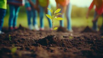 ai generato bambini piantare un' albero nel il terra. generativo ai foto