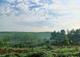 il Visualizza di il piantagioni è verde e Bellissima, Là siamo blu nuvole. vedere il Visualizza di il colline con blu nuvole. foto