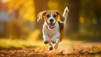 ai generato un' beagle cane energicamente in esecuzione su un' sporco strada, in mostra suo agilità e amore per all'aperto attività. generativo ai foto